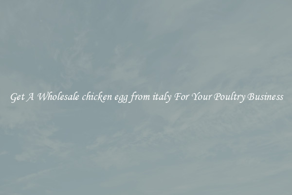 Get A Wholesale chicken egg from italy For Your Poultry Business