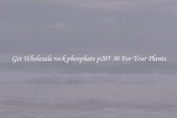 Get Wholesale rock phosphate p205 30 For Your Plants