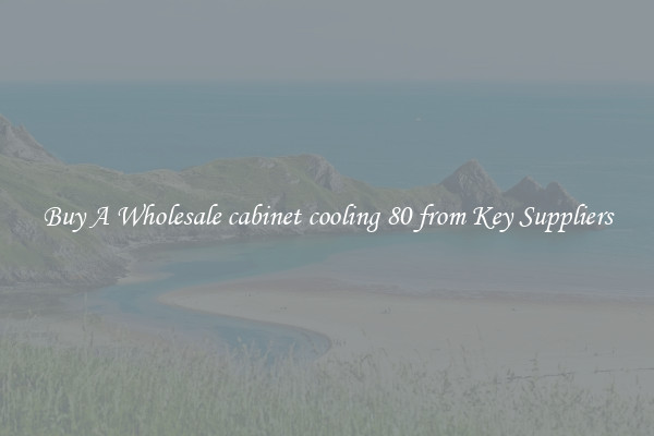 Buy A Wholesale cabinet cooling 80 from Key Suppliers