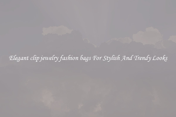 Elegant clip jewelry fashion bags For Stylish And Trendy Looks