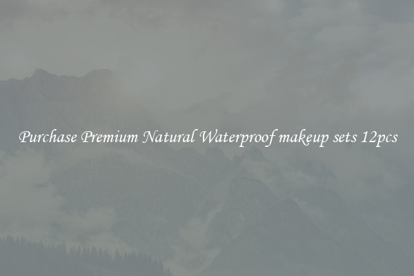 Purchase Premium Natural Waterproof makeup sets 12pcs