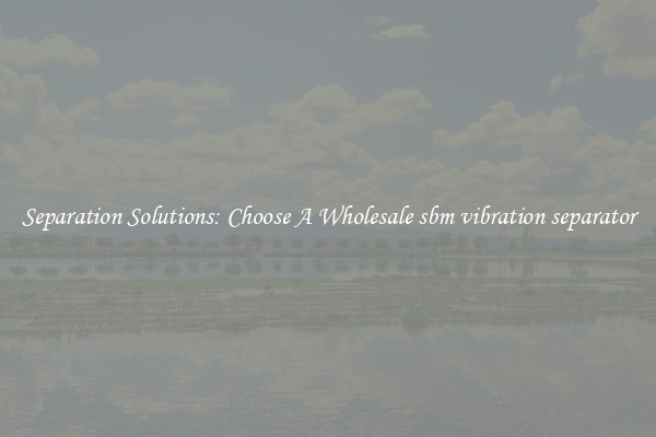 Separation Solutions: Choose A Wholesale sbm vibration separator