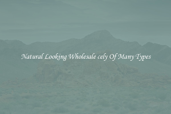 Natural Looking Wholesale cely Of Many Types