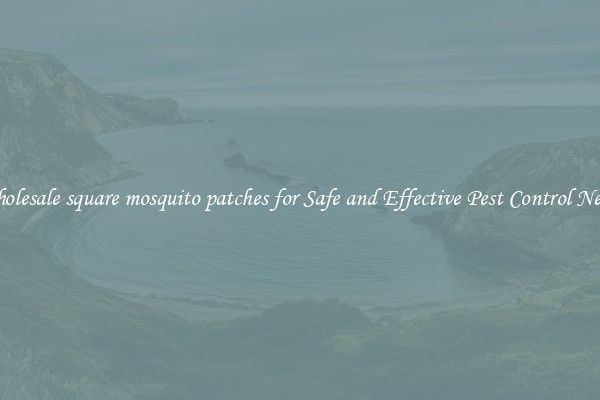 Wholesale square mosquito patches for Safe and Effective Pest Control Needs
