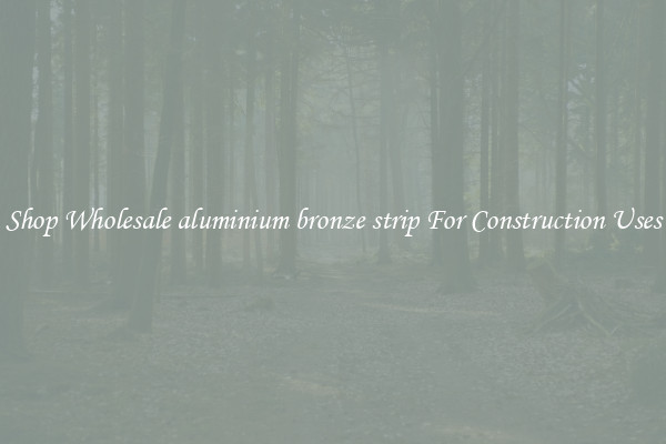Shop Wholesale aluminium bronze strip For Construction Uses