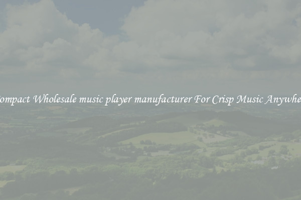 Compact Wholesale music player manufacturer For Crisp Music Anywhere