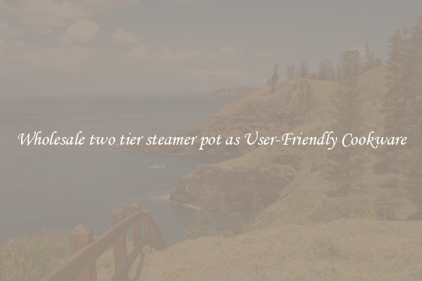 Wholesale two tier steamer pot as User-Friendly Cookware