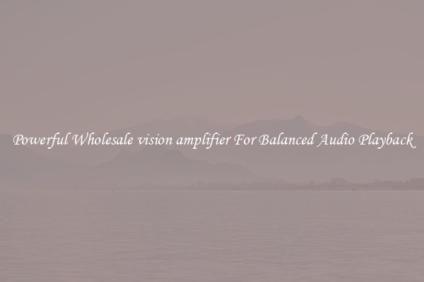 Powerful Wholesale vision amplifier For Balanced Audio Playback