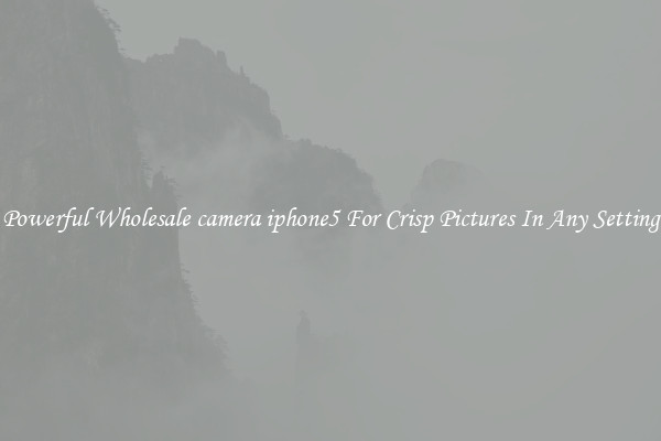 Powerful Wholesale camera iphone5 For Crisp Pictures In Any Setting