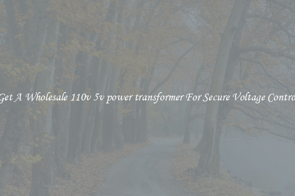 Get A Wholesale 110v 5v power transformer For Secure Voltage Control