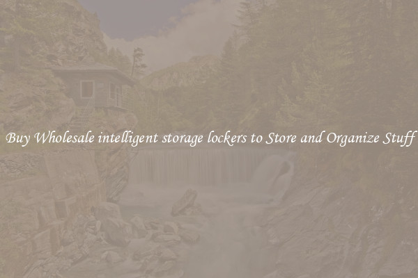 Buy Wholesale intelligent storage lockers to Store and Organize Stuff