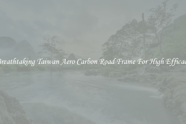 Breathtaking Taiwan Aero Carbon Road Frame For High Efficacy