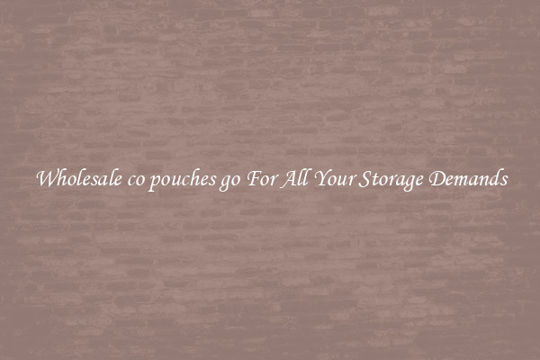 Wholesale co pouches go For All Your Storage Demands