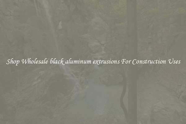 Shop Wholesale black aluminum extrusions For Construction Uses